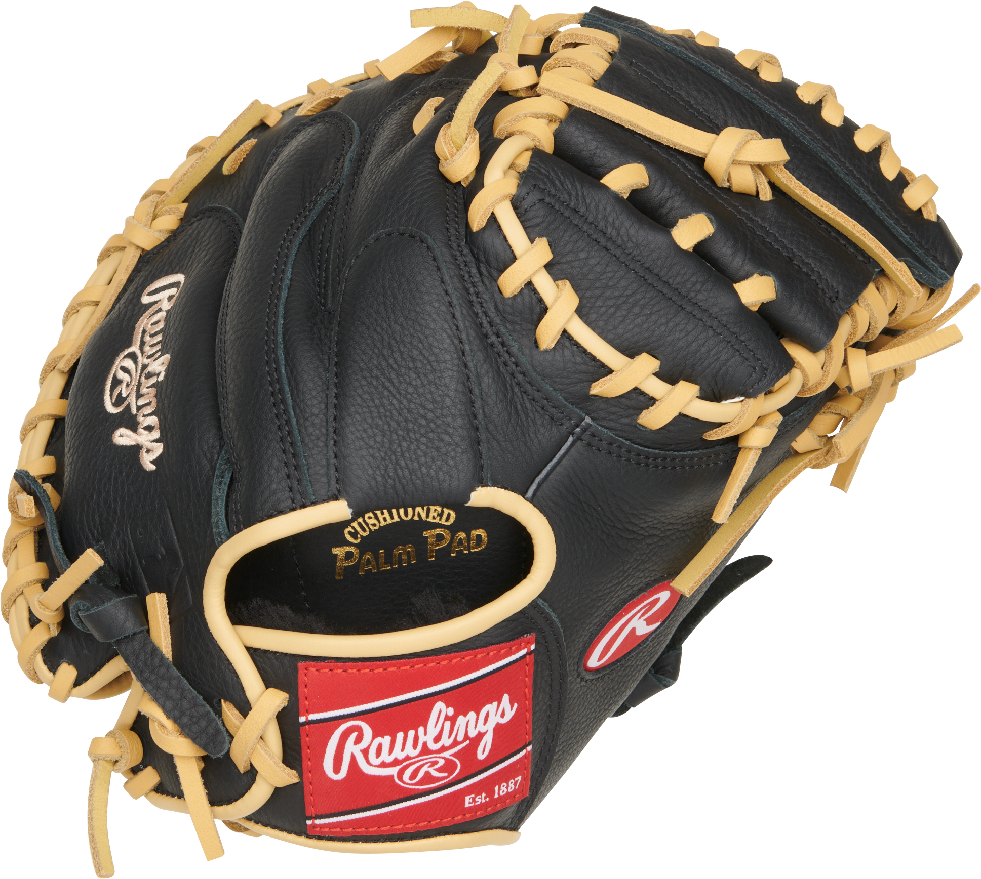 Rawlings Select Pro Lite Adley Rutschman Youth Baseball Catcher's Mitt 32