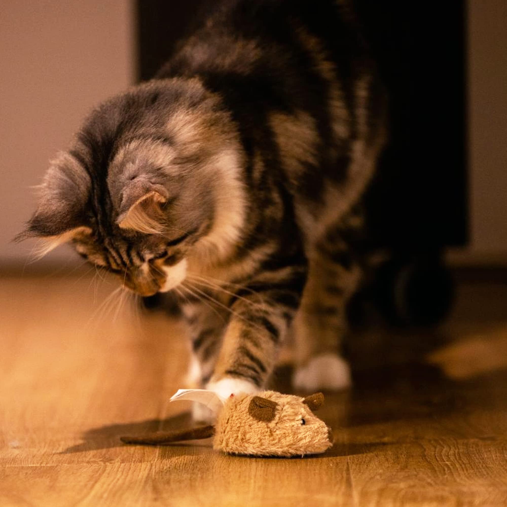 Gigwi Interactive Cat Toys for Indoor Cats - 2 Pack Electronic Moving Mouse Toys with Realistic Squeaky Sounds, Automatic Self-Play Exercise Toy for Kittens (Brown Ears & Chicken) - Perfect for Playtime, Training & Keeping Indoor Cats Active