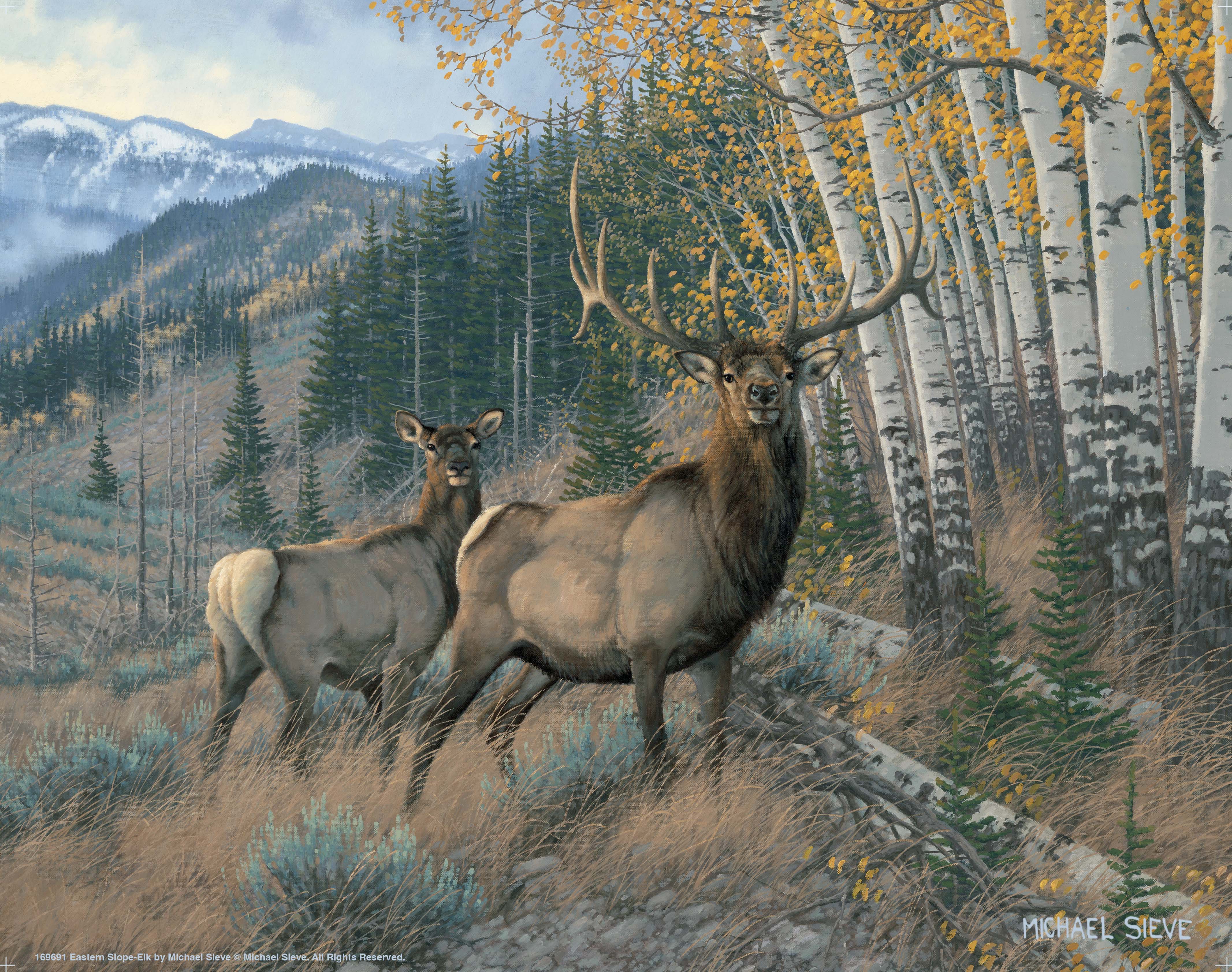 Eastern Slope Elk Art Print - Stunning Wildlife Wall Decor for Home, Office & Cabin - Perfect for Nature Lovers & Hunting Enthusiasts