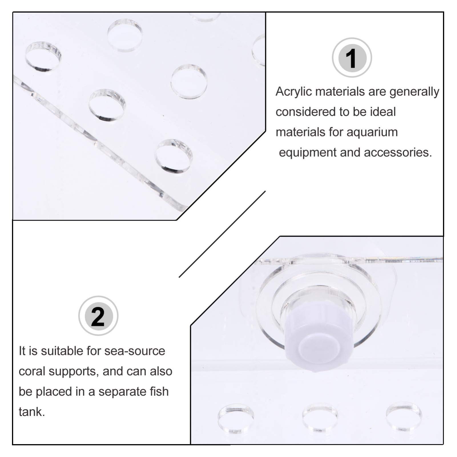 POPETPOP 32-Hole Magnetic Coral Bracket - Acrylic Frag Rack for Saltwater Aquarium, Coral Support Holder with Strong Magnetic Base - Perfect for Reef Tanks, Marine Aquascaping, and Coral Fragmentation