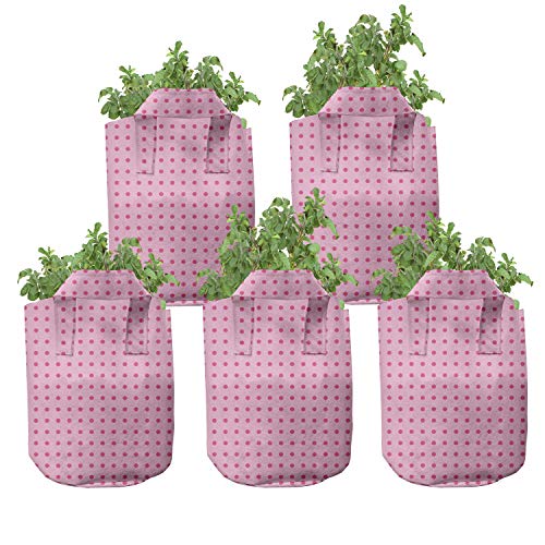 Pink Magenta