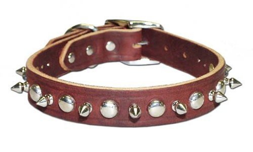 Black Signature Leather Spike and Stud Dog Collar - Adjustable 26