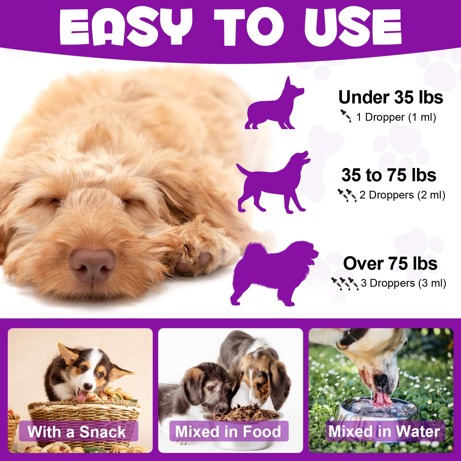 Melatonin for Dogs & Cats - Natural Anxiety & Stress Relief Supplement - Promotes Relaxation & Deep Sleep - Small & Large Pets - Calming Aid for Travel, Thunderstorms & Separation Anxiety
