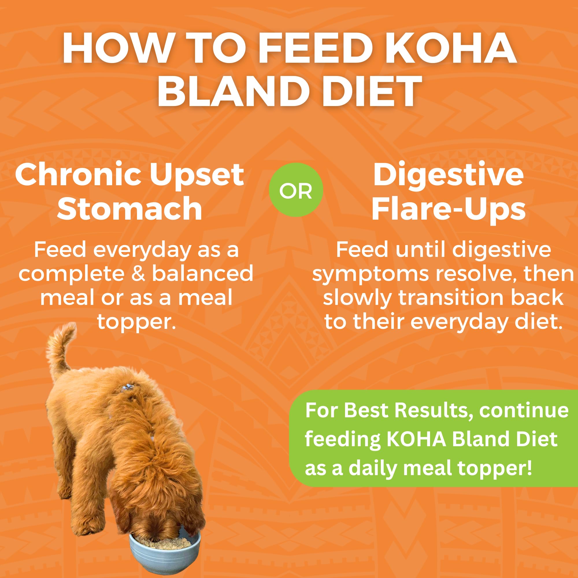 KOHA Limited Ingredient Bland Diet for Dogs - Chicken & White Rice Recipe Wet Dog Food for Sensitive Stomachs | Gentle, Easy-to-Digest Formula | 6-Pack | Perfect for Dogs with Food Allergies or Digestive Issues