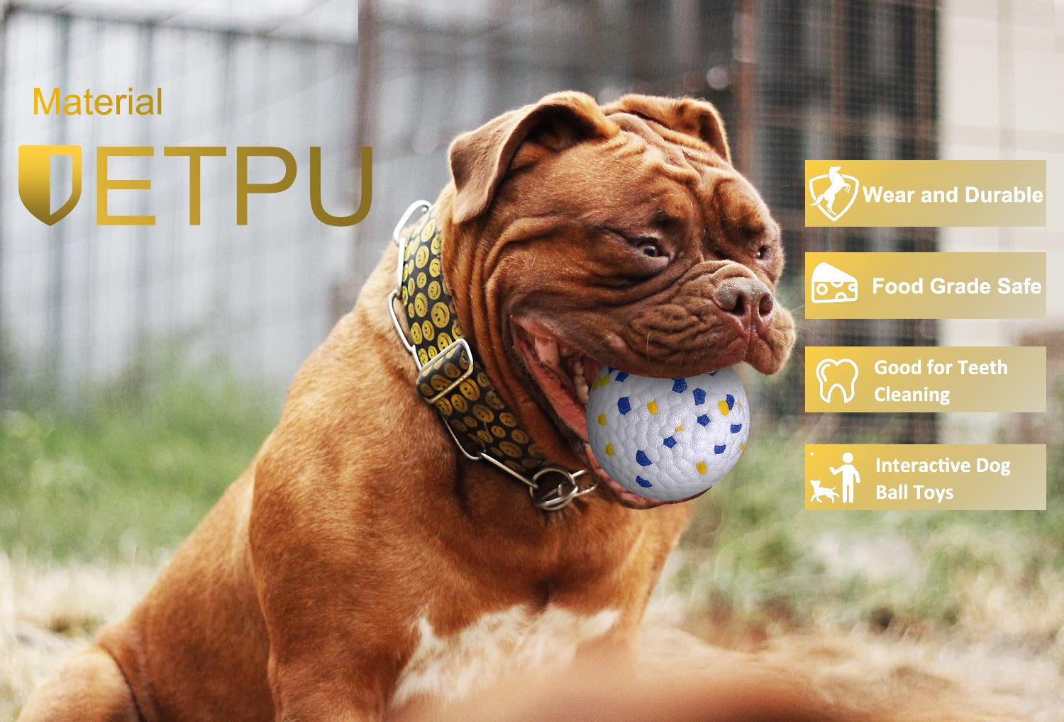 Durable Interactive Dog Ball Toy for Medium & Large Dogs – Aggressive Chewer Proof, Training & Exercise Chew Toy – Blue & Yellow Molar Balls (3-Pack) – Perfect for Fetch, Training & Dental Health