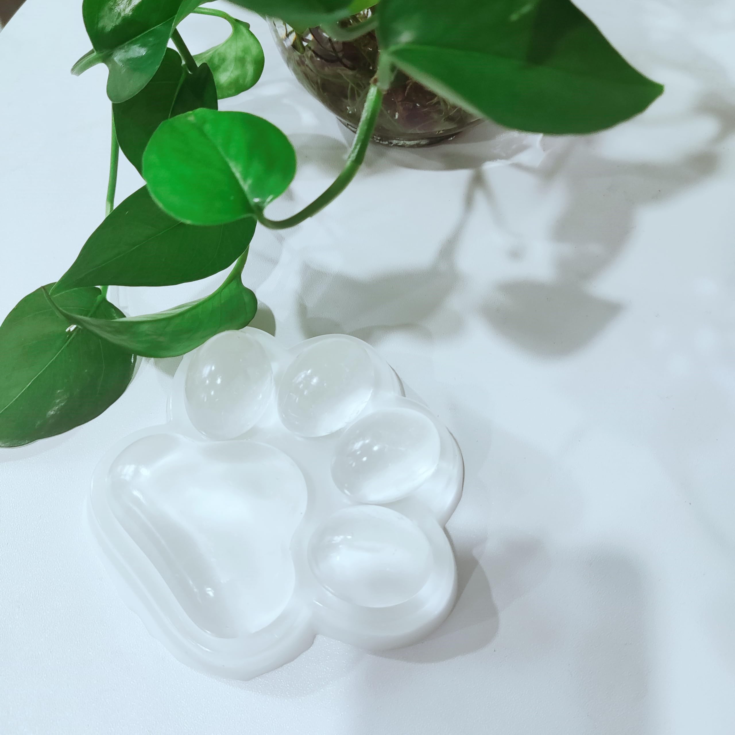 Big Cat Paw Squishy Toy - 5.5 Inch Clear Stress Relief Squeeze Toy for Adults & Kids | Soft High Resilience Desk Toy for Office, Anxiety Relief & Sensory Play | Fun Fidget Toy for Stress Management & Focus