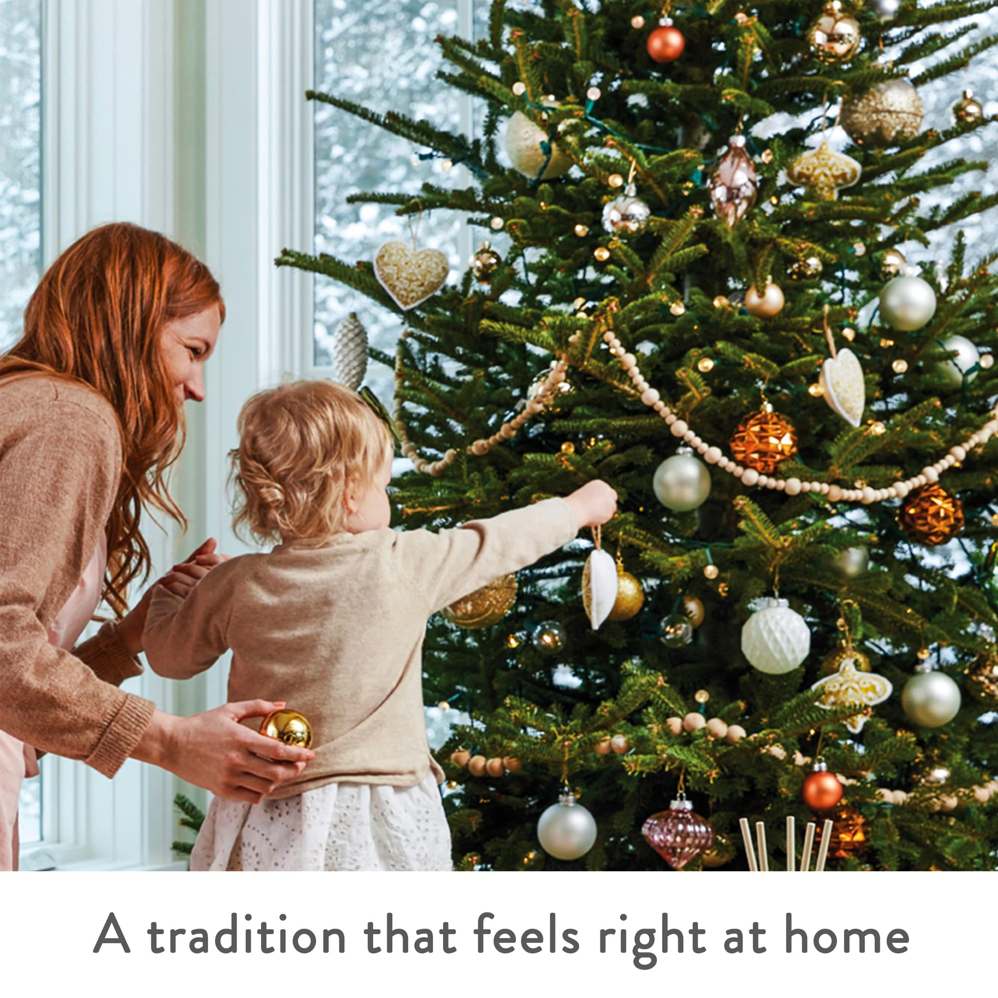 Thymes Frasier Fir Scented Candle - Large 4 Wick (40 oz) - Siberian Fir, Cedarwood & Sandalwood Aroma - Silver Pine Needle Design Home Decor - Perfect for Christmas, Cozy Evenings & Aromatherapy