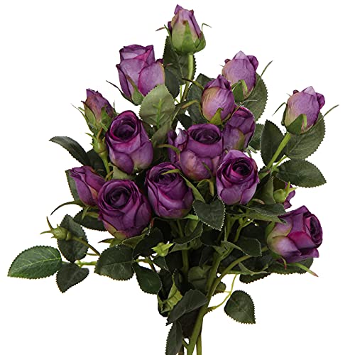 Purple #06