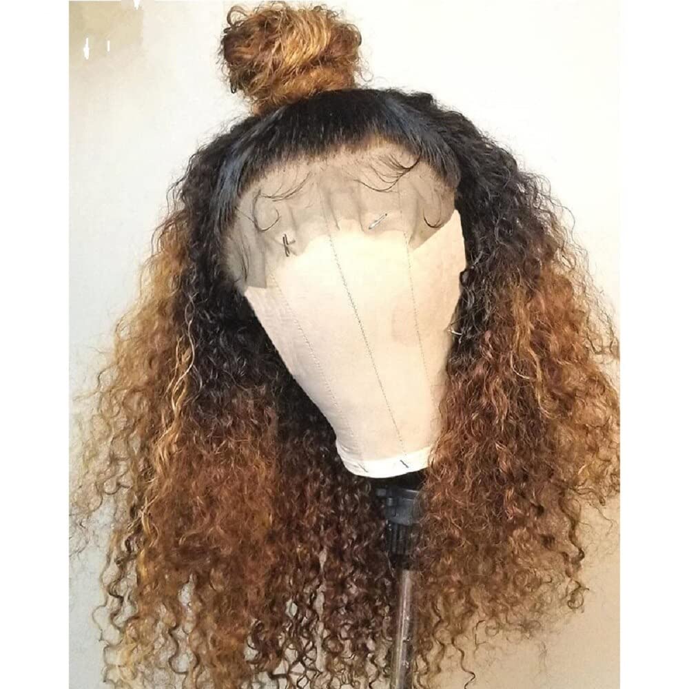 180% Density Ombre Curly Human Hair Wigs - 100% Brazilian Kinky Curly Virgin Hair - 5x5 Lace Front Wig with PU Scalp - 1BT4/27 Color - 10 Inch Length - Perfect for Daily Wear, Parties & Special Occasions
