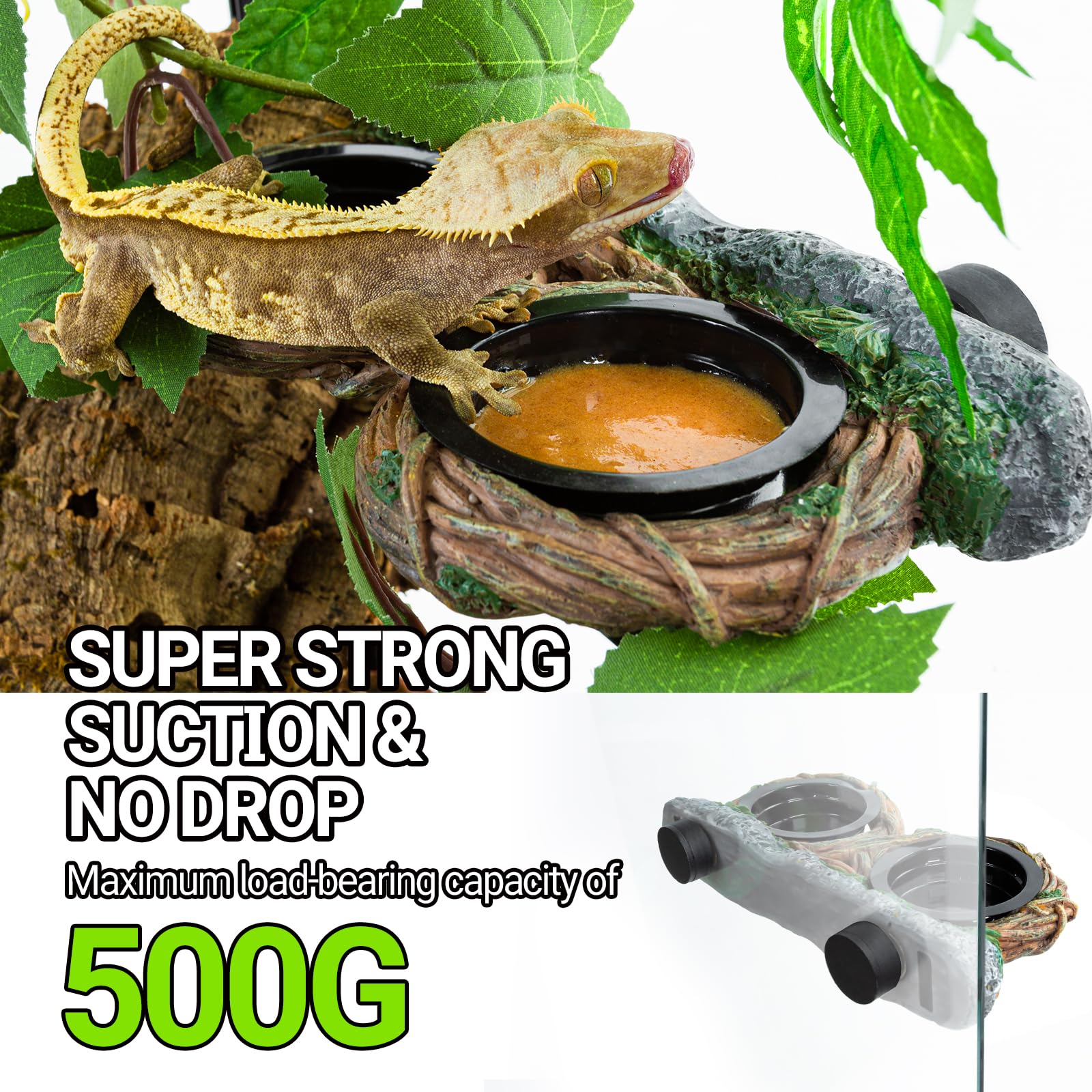 REPTI ZOO Magnetic Reptile Feeding Ledge - Gecko Feeder Ledge with 4 Cups, Hollow Vine Food Dish & Water Bowl for Bearded Dragon, Lizard, Snake - Terrarium Tank Accessories for Easy Feeding & Hydration in Reptile Habitats