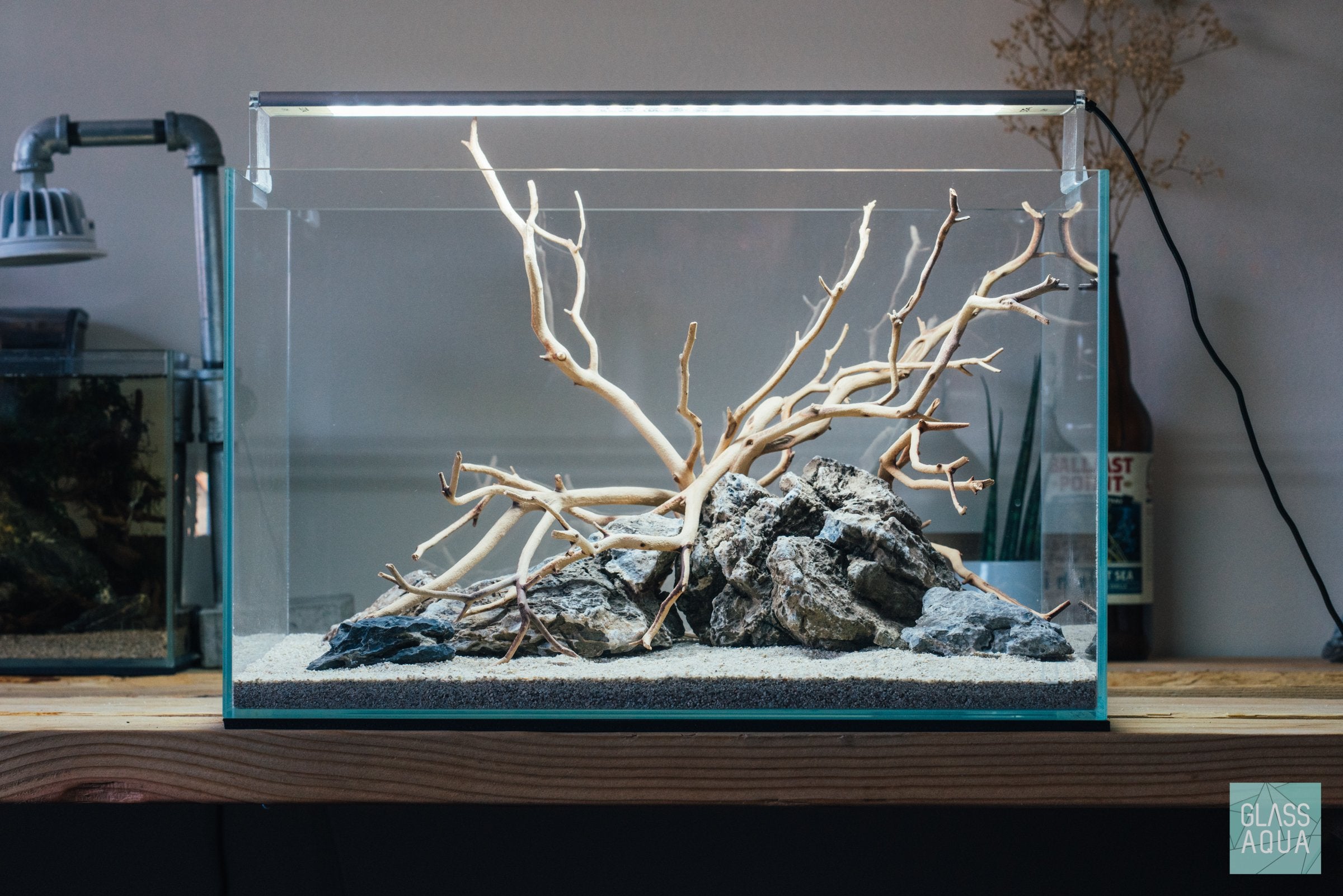 Natural Manzanita Wood Branches for Reptile Habitats, Bird Perches & Home Decor | Eco-Friendly, Durable & Safe for Pets