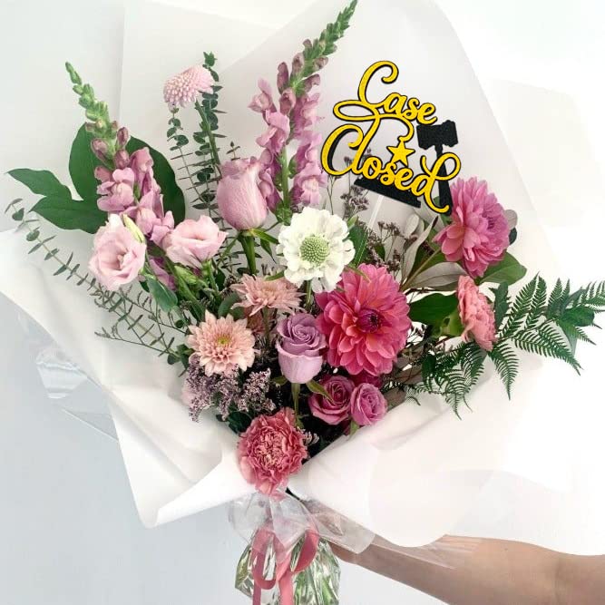 Case Closed Cake Topper - 2024 Law School Graduation, Lawyer Retirement & Judge Cake Decor - Perfect for Judicial Celebrations, Farewell Parties & Legal Profession Events