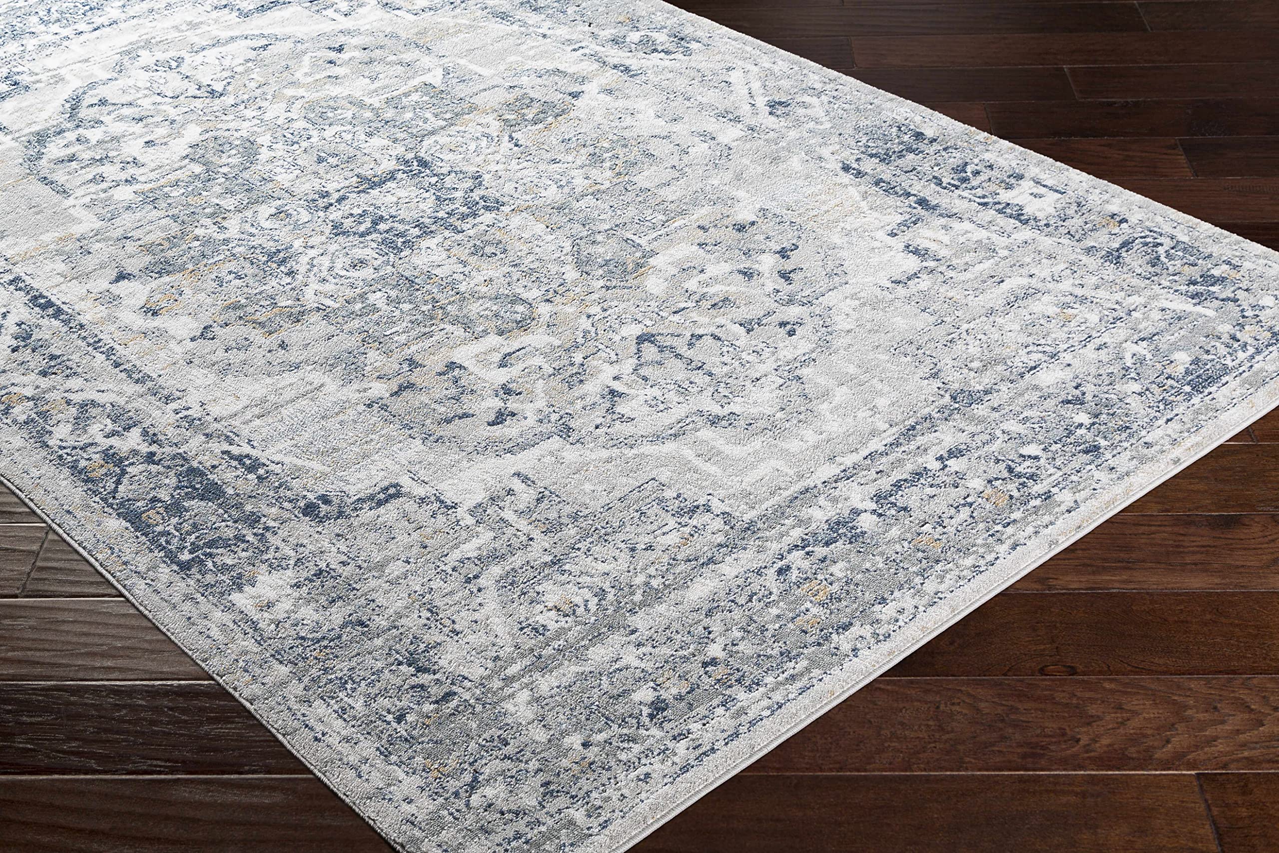 Premium Hauteloom Allerton Traditional Area Rug - 9' x 12' - Soft Beige, Gray & Blue - Perfect for Living Room, Bedroom & Home Decor - Adds Elegance & Comfort to Any Space