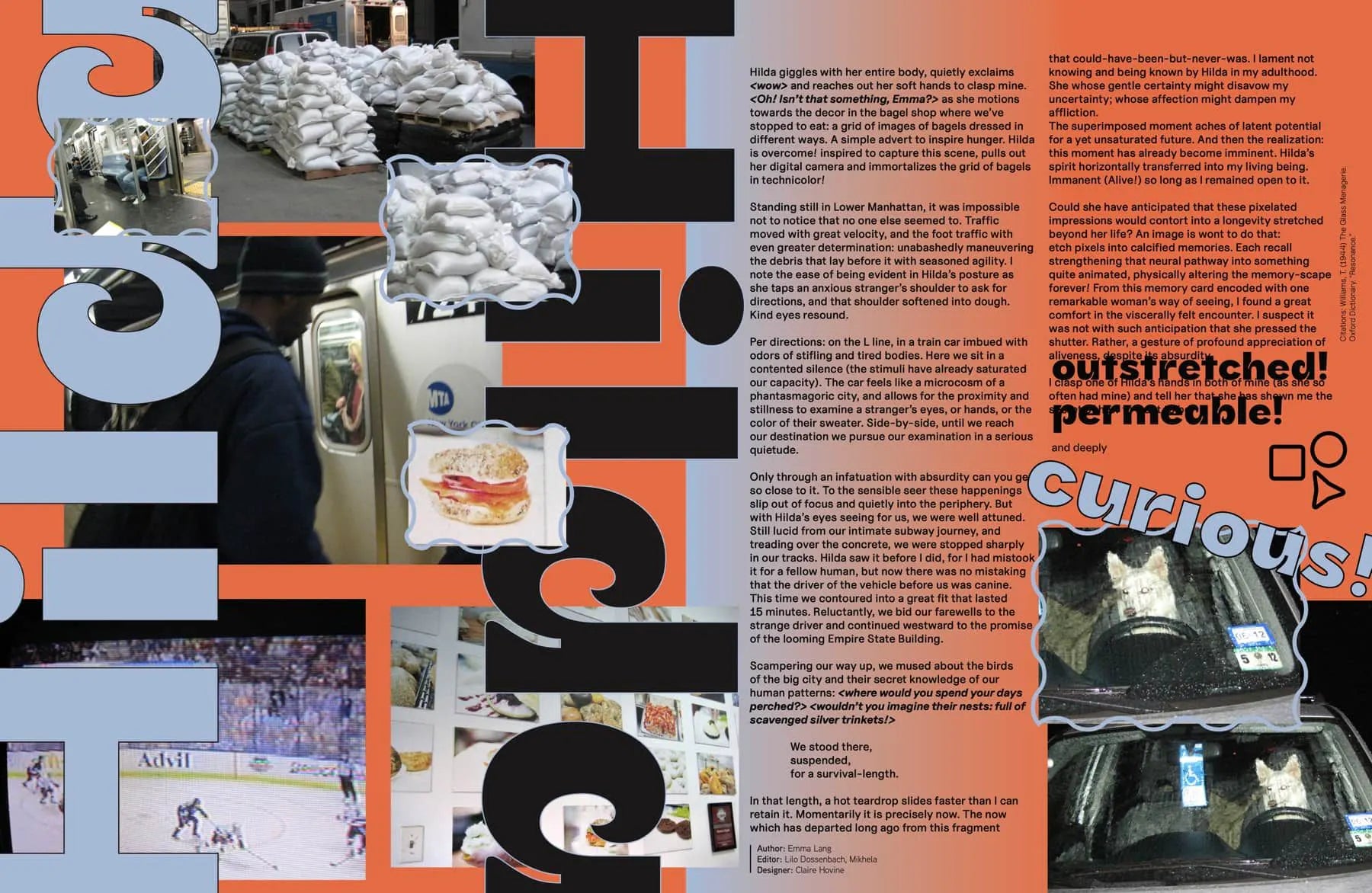 SOFT EIS Magazine Issue 03: Loss - Contemporary Art & Photography Zine | Perfect for Art Collectors, Creative Inspiration & Coffee Table Display