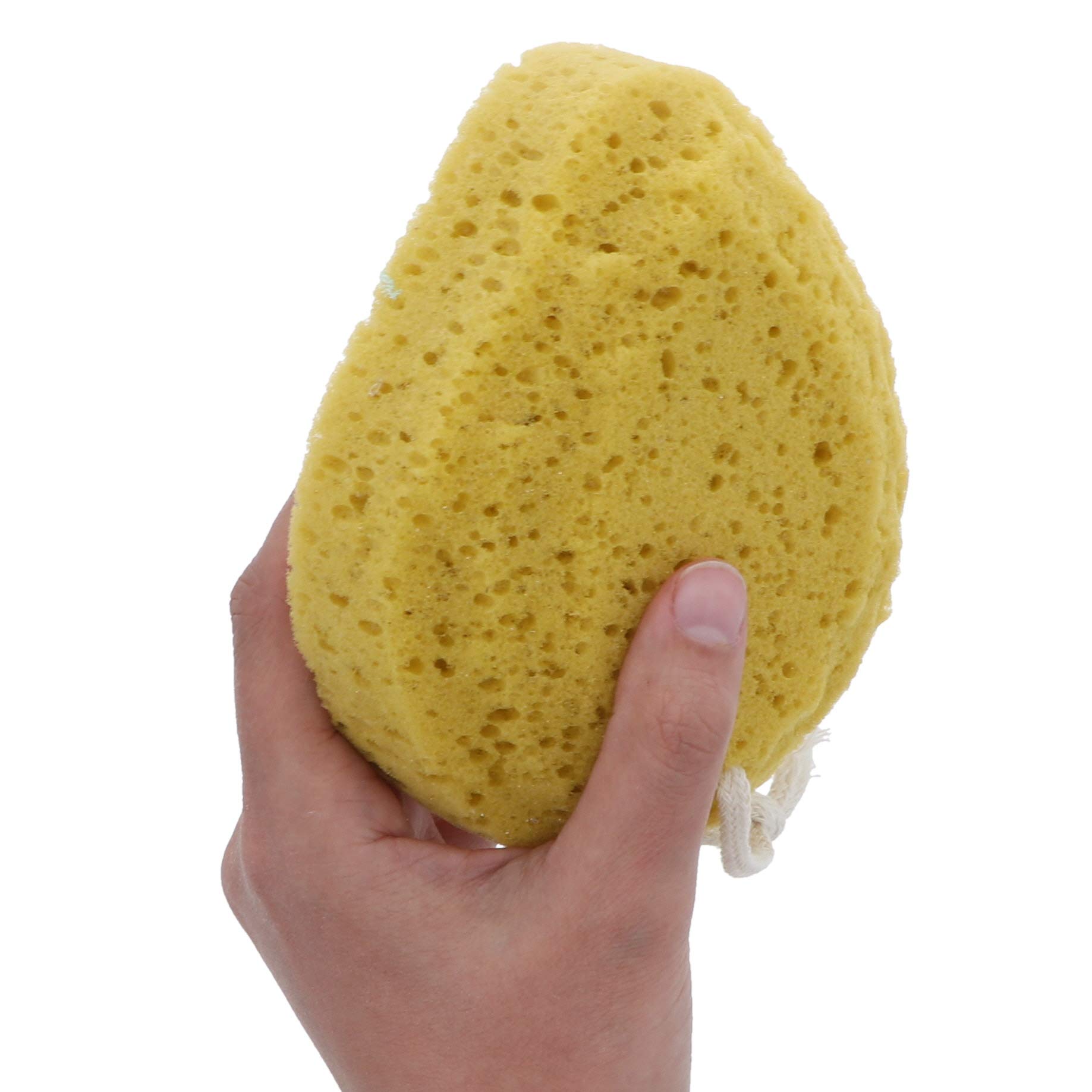 Natural Sea Sponge for Bath & Shower | Eco-Friendly Body Scrub & Exfoliator | Perfect for Sensitive Skin & Luxury Spa Experience at Home