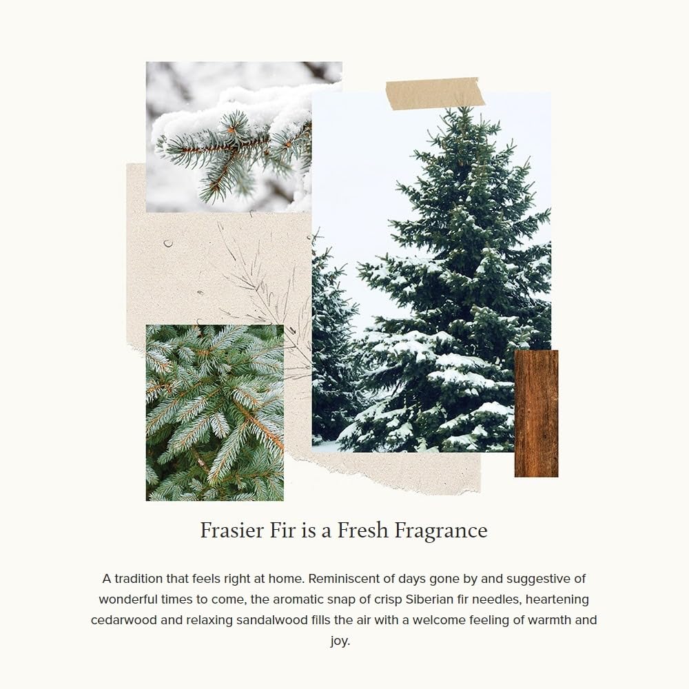 Thymes Frasier Fir Scented Candle - 7.5 oz Holiday Pine Needle Candle with Siberian Fir, Cedarwood & Sandalwood Fragrance - Elegant Christmas Decor for Home, Office & Gift Giving