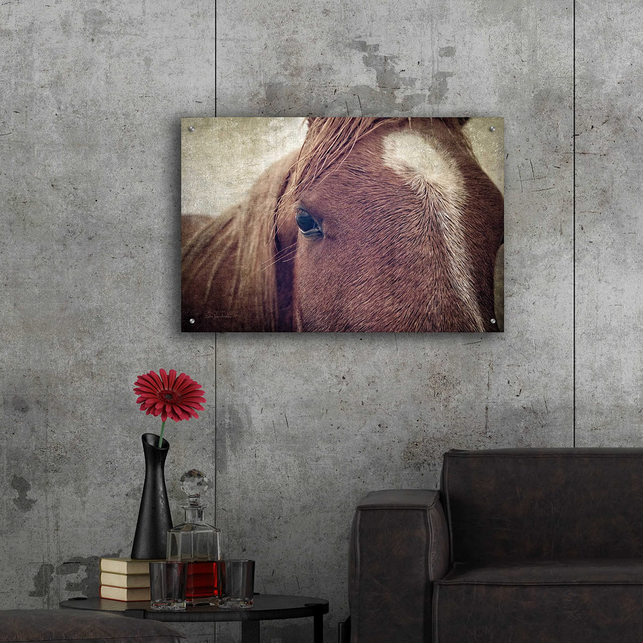 Epic Art 'Dew Lashes' by Debra Van Swearingen - 36x24 Inch Acrylic Glass Wall Art Painting, Modern Home Decor for Living Room, Bedroom & Office