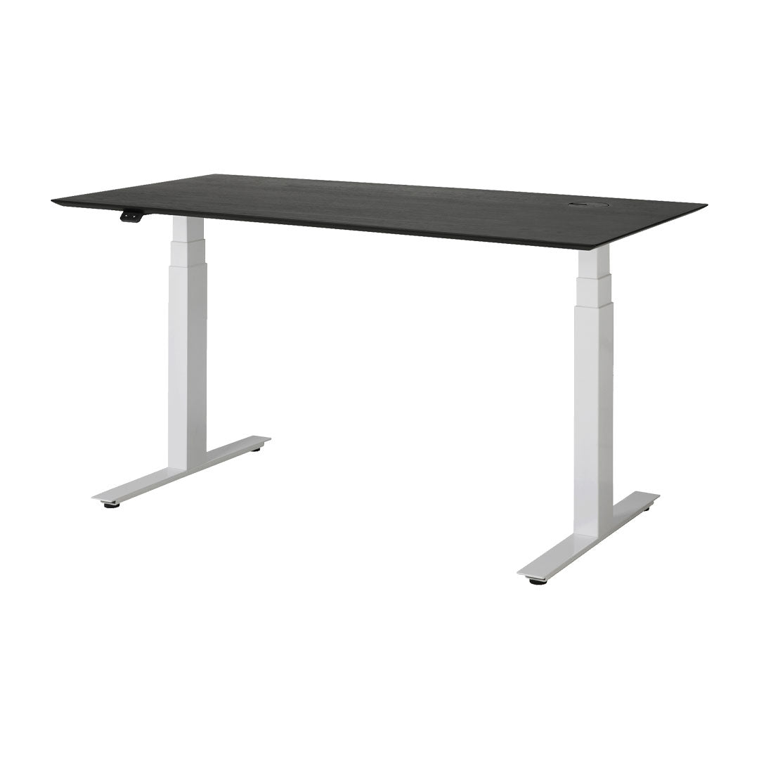 Adjustable Standing Desk - Ergonomic Height Adjustable Computer Desk for Home & Office - Perfect for Work from Home, Gaming & Study