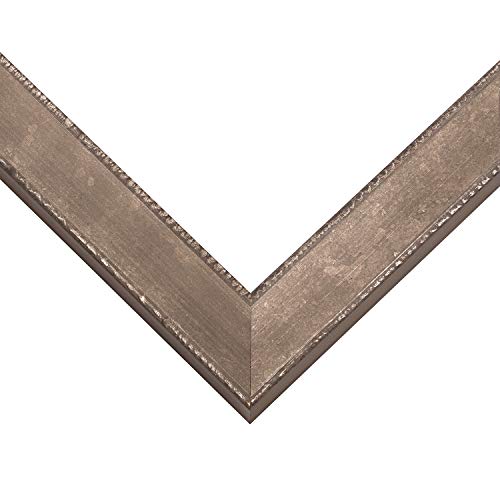 10850 Silver