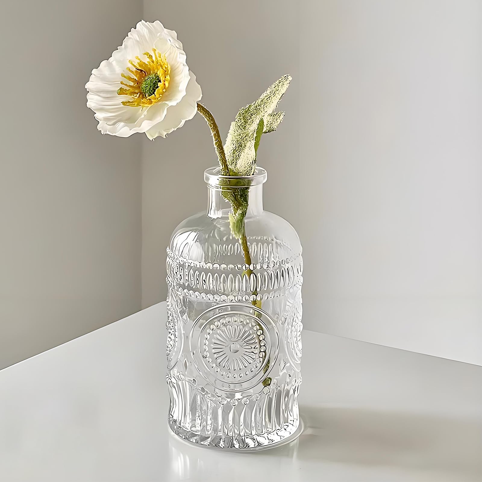 Glass Propagation Vases for Plants & Flowers - Home & Office Decor