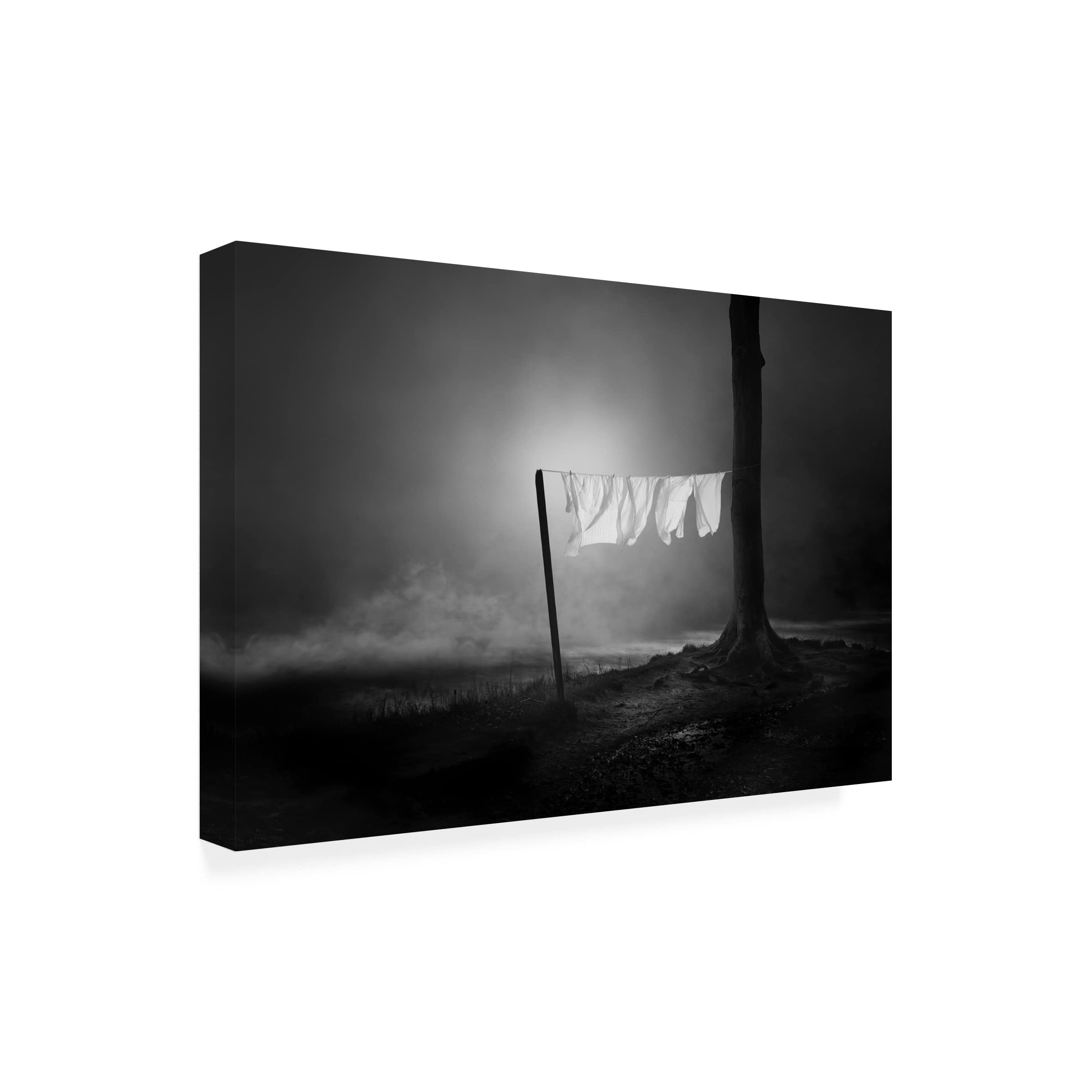 Christoph Hessel 'Hope' Canvas Art Print - Modern Wall Decor for Living Room, Bedroom & Office - Trademark Fine Art Collection