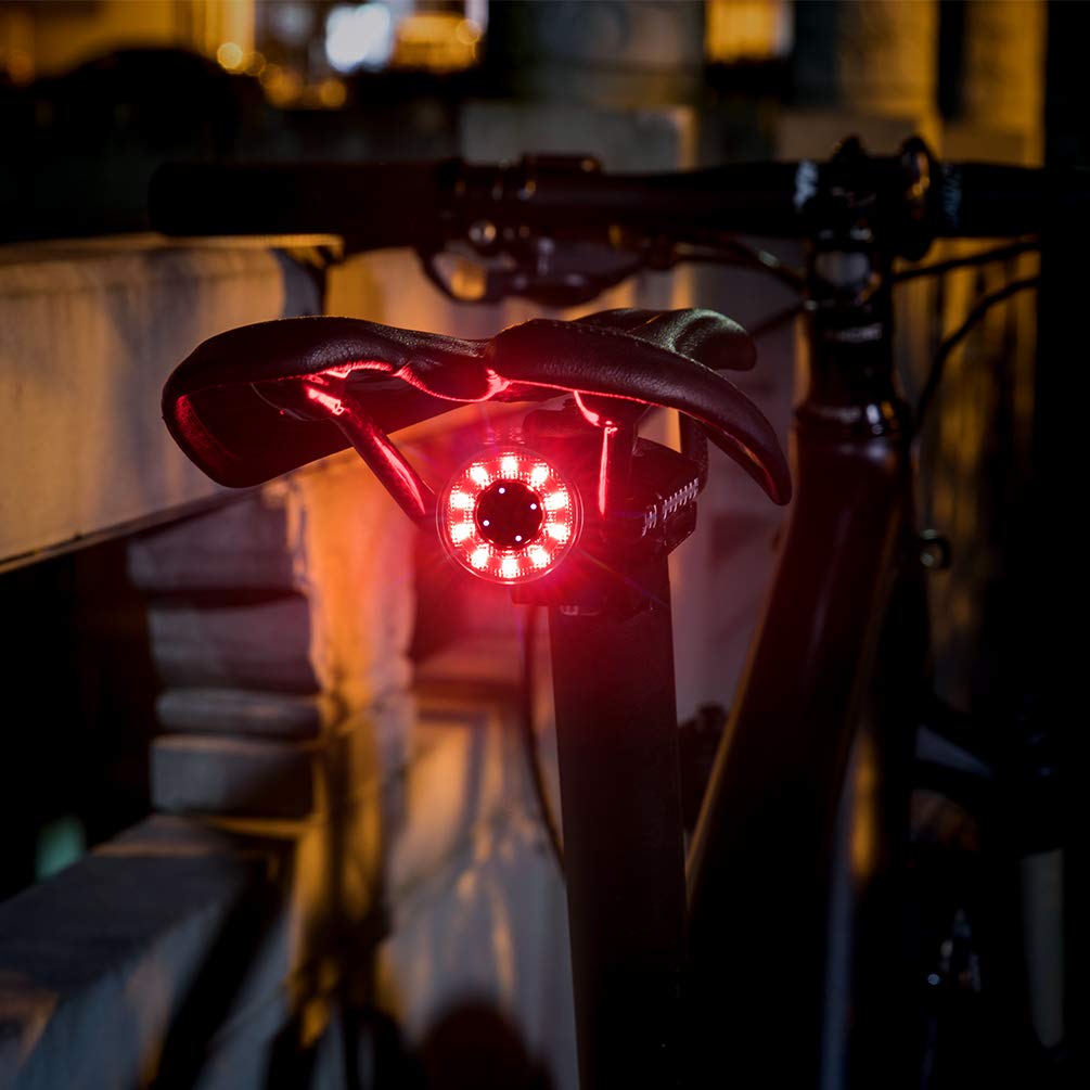ROCKBROS Rechargeable Waterproof Bike Tail Light - High Visibility Rear Bicycle Light for Night Cycling, Commuting & Road Safety | USB Charging LED Bike Taillight for Mountain, Road & City Bikes