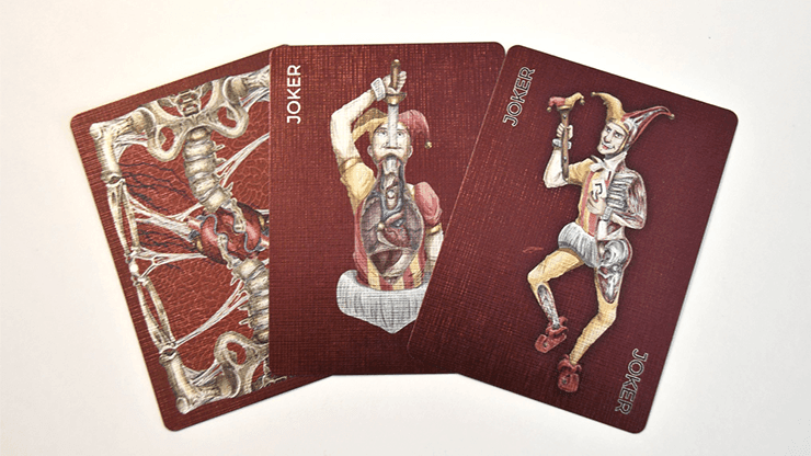 Premium Alterna Playing Cards - High-Quality Poker & Card Games Deck for Magic Tricks, Poker Nights & Family Game Nights