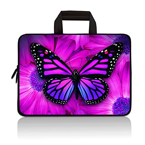 Big Butterfly