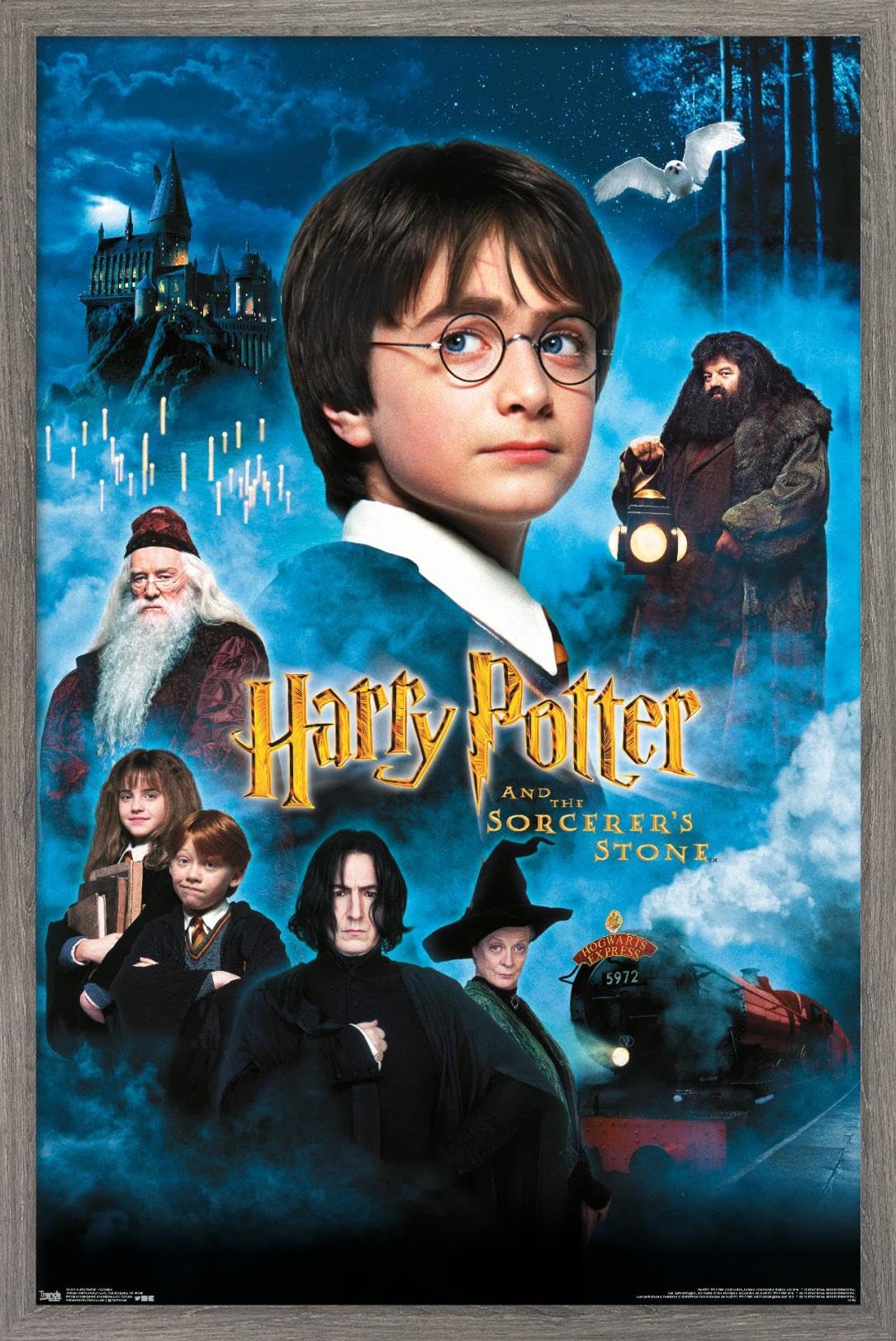Trends International Harry Potter and the Sorcerer's Stone Movie Poster - 14.725 x 22.375 Inch Barnwood Framed Wall Art - Perfect for Home Decor, Office, or Gift for Potter Fans