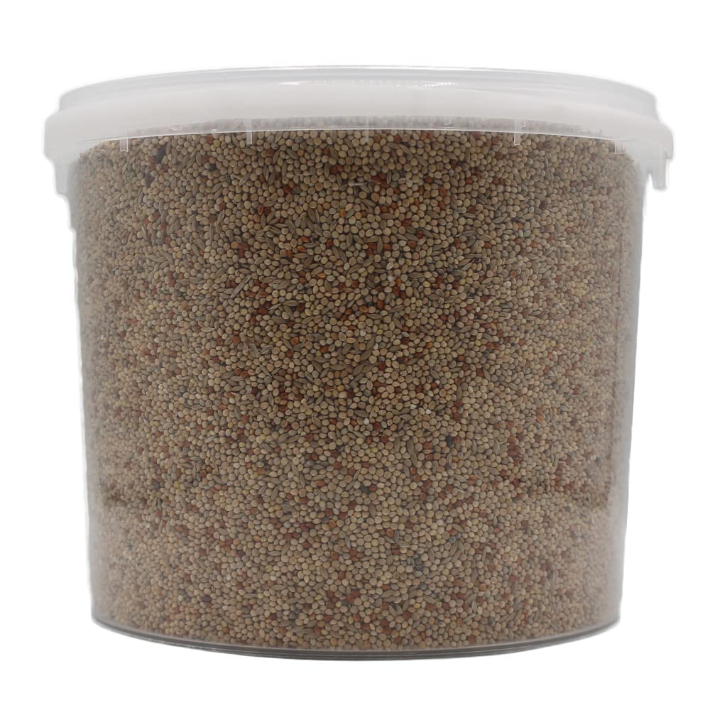 Premium Budgie Seed Mix - Nutritious Indoor Bird Food for Small Birds Like Parakeets & Finches - 5L Resealable Storage Tub - Perfect for Daily Feeding & Cage Enrichment