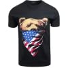 Usa Flag Bear