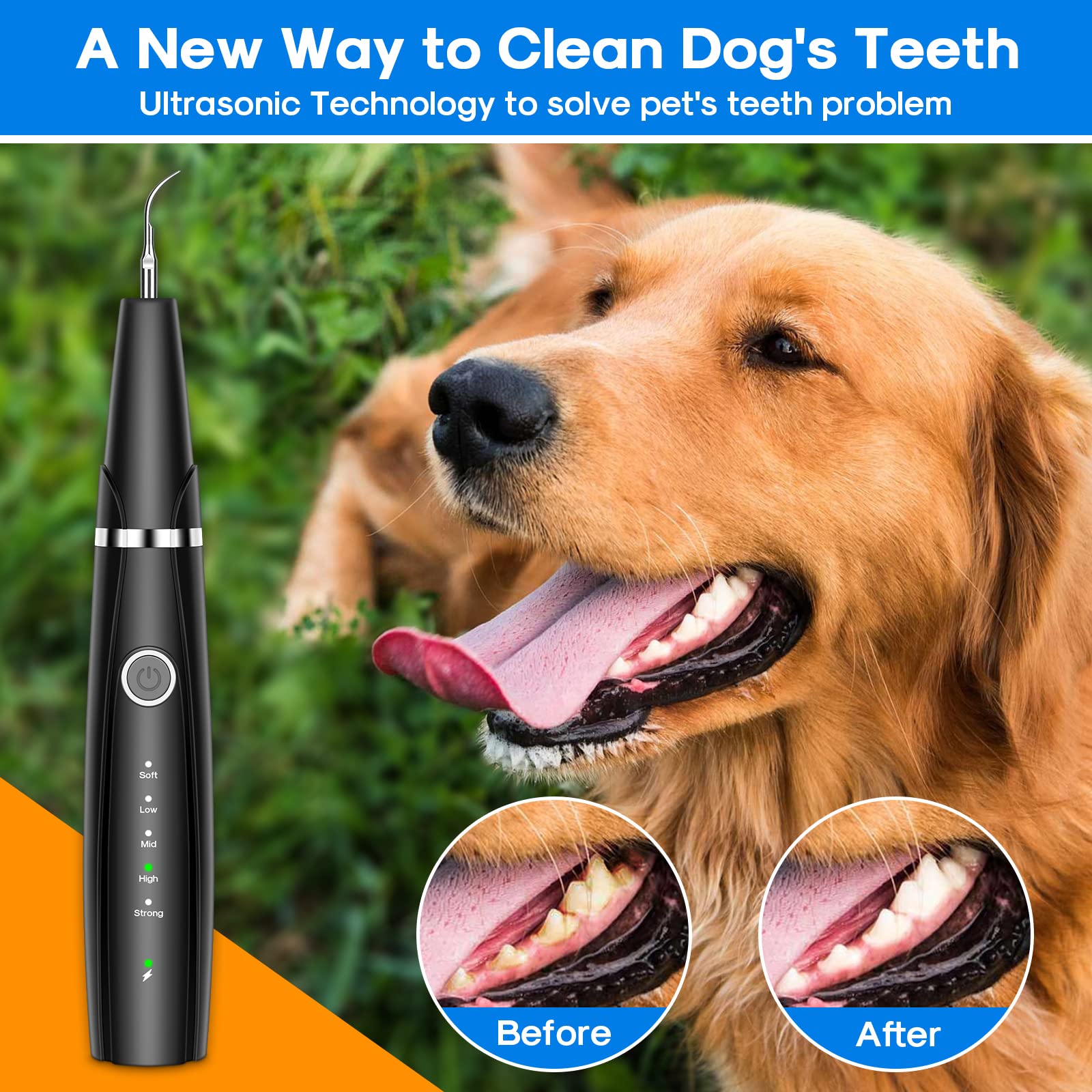 **5-Mode Ultrasonic Dog Teeth Cleaning Kit - Plaque & Tartar Remover for Pets, 10-in-1 Dental Care Set with Toothbrush (Black) - Perfect for At-Home Pet Oral Hygiene & Fresh Breath**