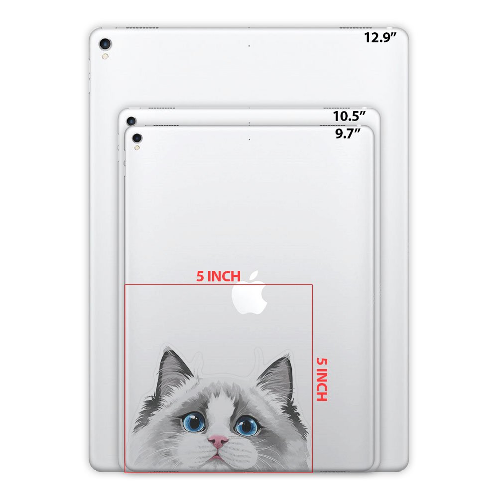 5 x 5 Inch White Silver Point Ragdoll Cat Vinyl Decal Stickers - Removable Laptop Decals for MacBook, iPad, Phone, Car, Window | Cute Pet Decor, DIY Stickers for Flat Surfaces