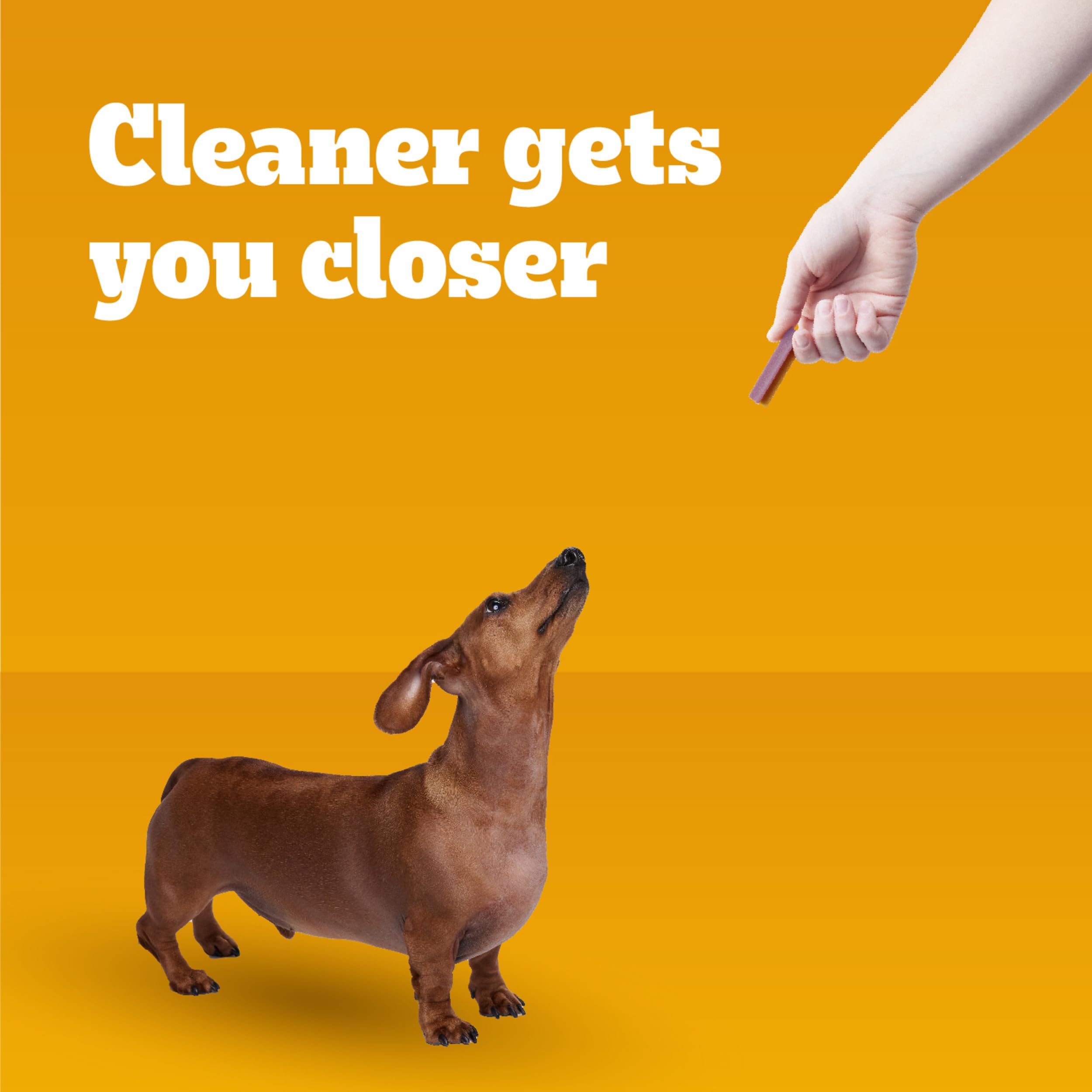 Pedigree Dentastix Small Dog Dental Chews - Bacon & Chicken Flavor, 17.78oz (84 Treats) - Teeth Cleaning Snacks for Small Breed Dogs - Perfect for Daily Oral Care & Training Rewards