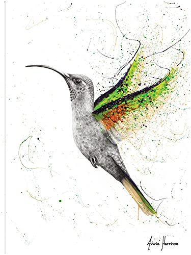 Hero Hummingbird