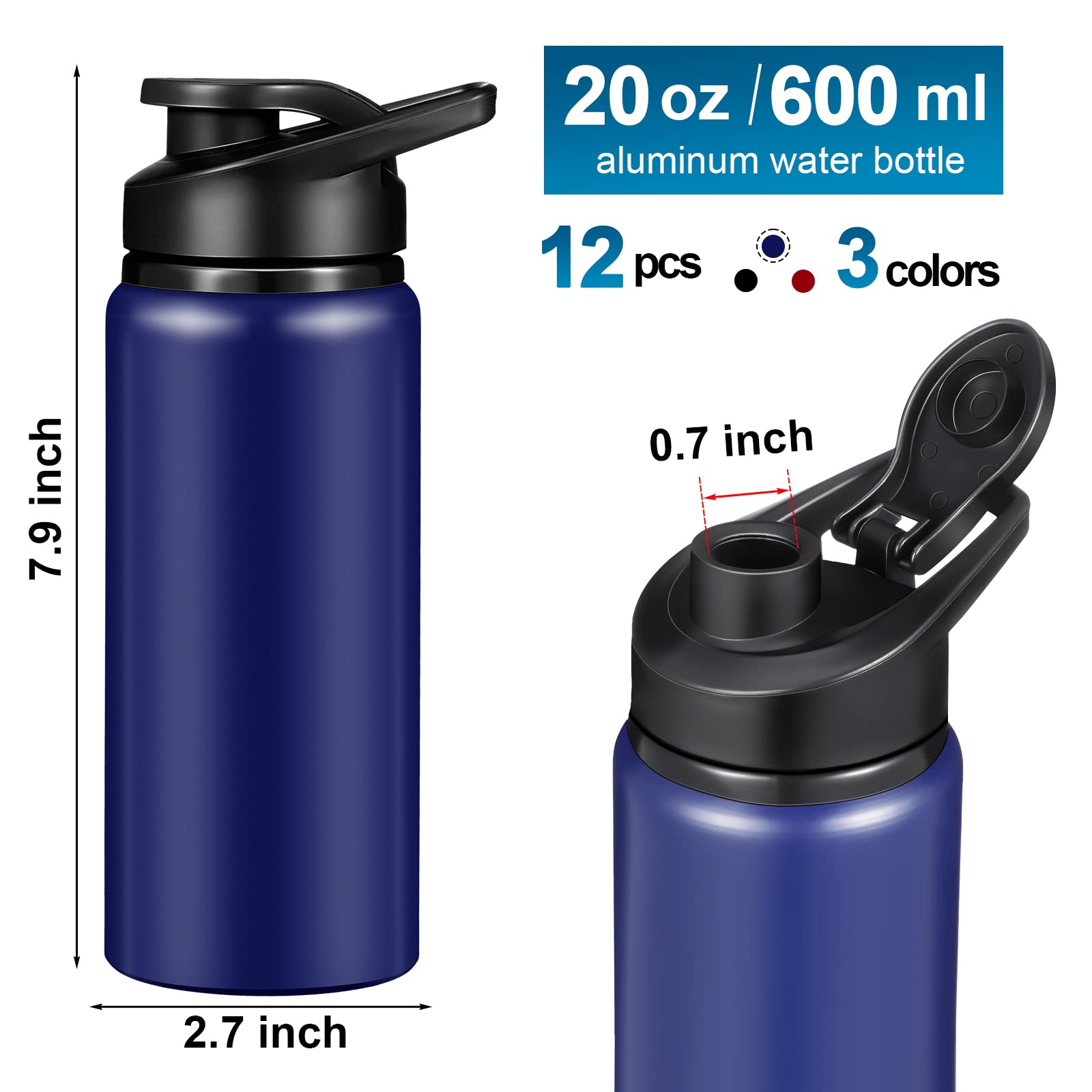 12-Pack 20oz Aluminum Water Bottles - Reusable Metal Sports & Bike Water Bottle Set with Lids - Perfect for Gym, Camping, Hiking, Fishing & Outdoor Activities - BPA-Free Leakproof Travel Water Bottles for Sports Enthusiasts