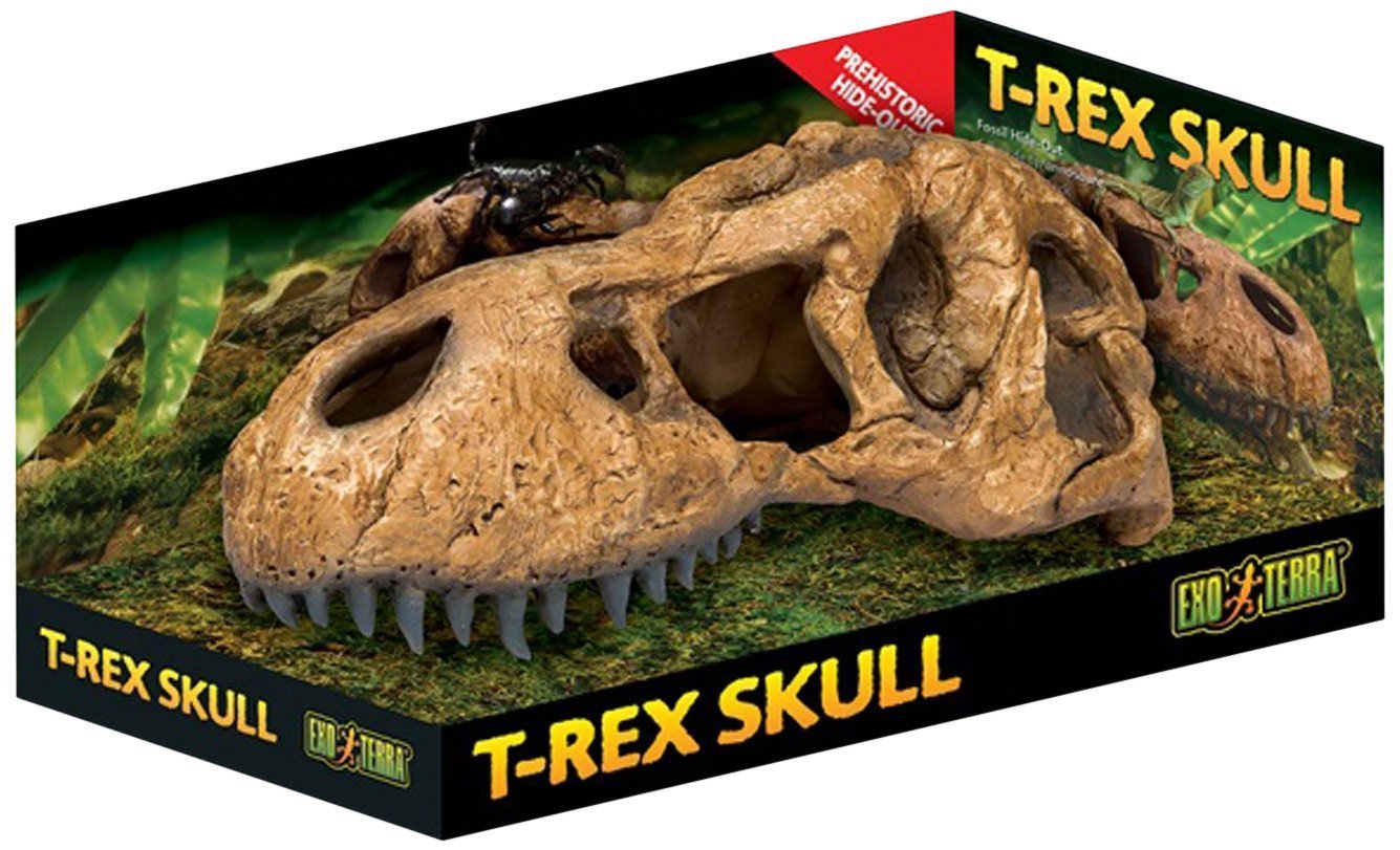 Exo Terra T-Rex Skull Reptile Terrarium Decor - Dinosaur Themed Habitat Accessory for Bearded Dragons, Geckos & Reptile Tanks - Perfect for Jurassic Park Style Vivarium Setup