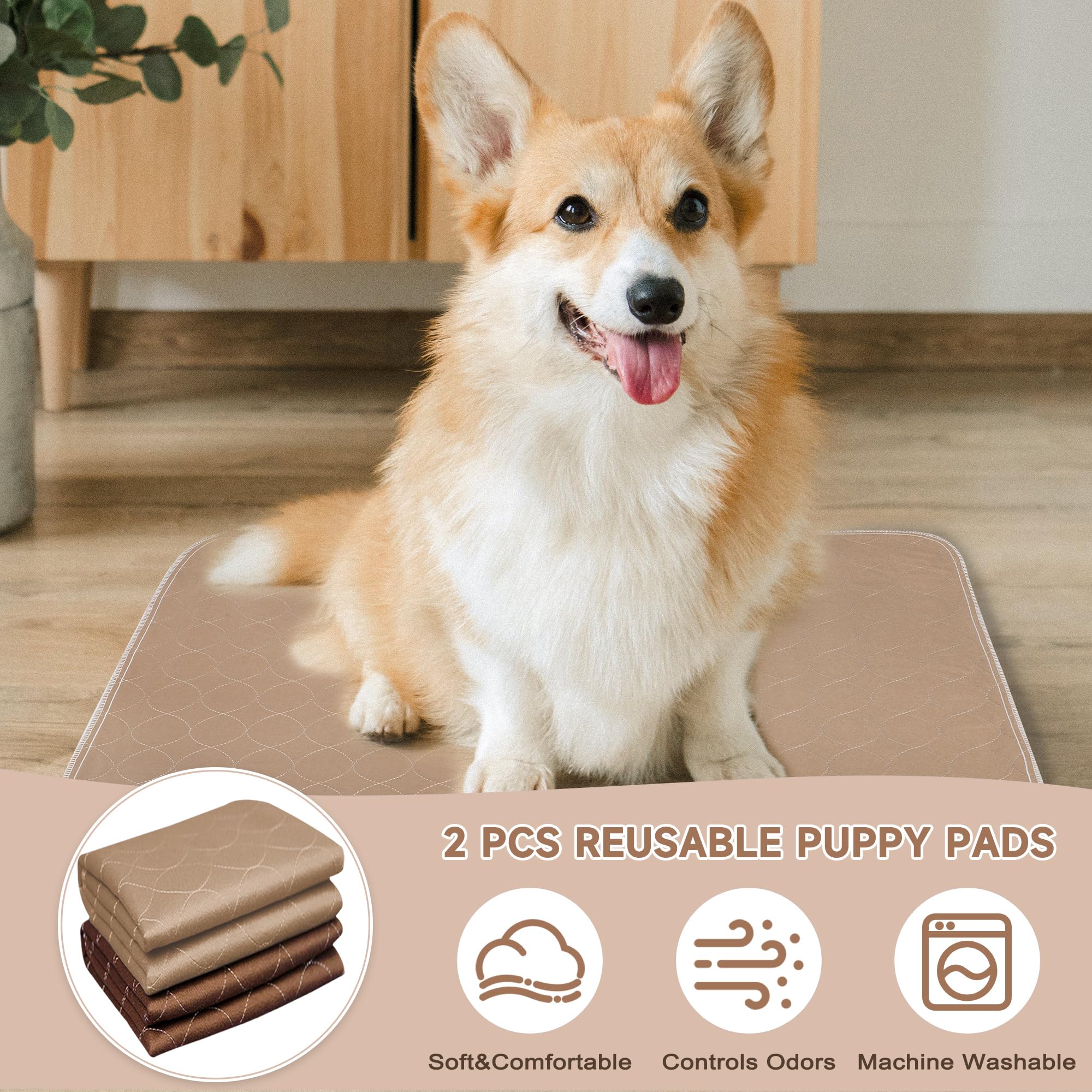 Paw Legend Washable Reusable Dog Pee Pads - Super Absorbent Puppy Training Pads (2 Pack) | Odor Control & Leak Proof | Perfect for House Training, Travel & Crate Use