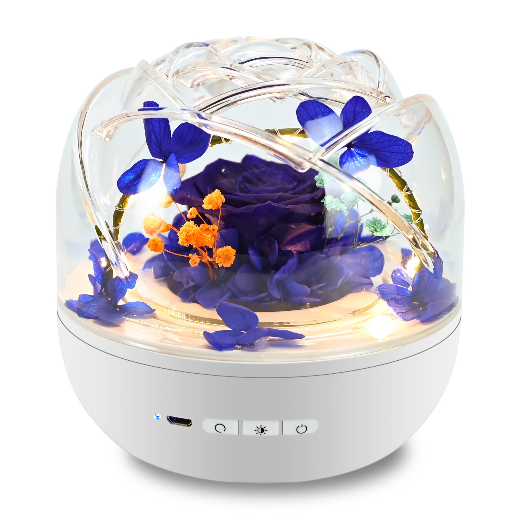 QUELIEN Preserved Rose with LED Light - Eternal Flower Gift for Mom, Women, Valentine's Day, Anniversary, Birthday, Mother's Day, Wedding (Blue) - Perfect for Home Decor, Romantic Surprises & Special Occasions