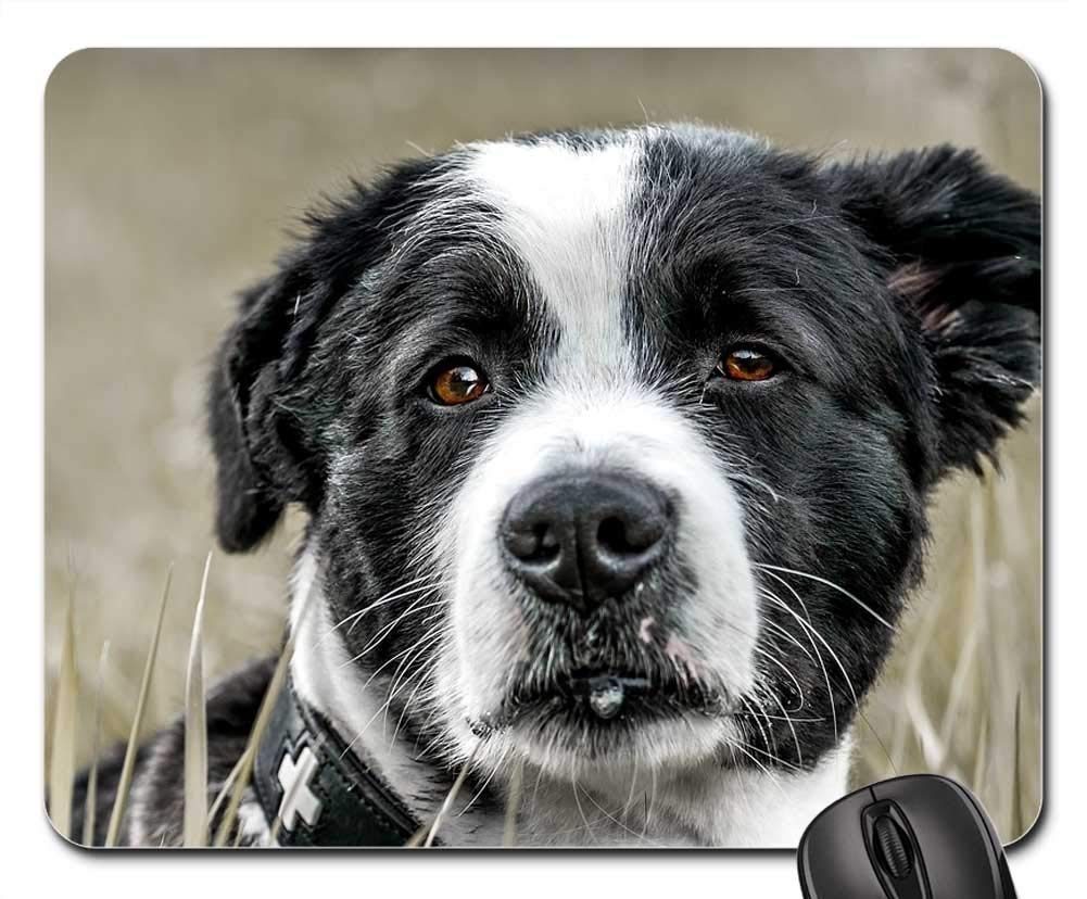 Premium Gaming Mouse Pad with Dog Portrait Design - Non-Slip Large Mouse Mat for PC, Laptop, Mac - Perfect for Gamers, Office Work & Home Use