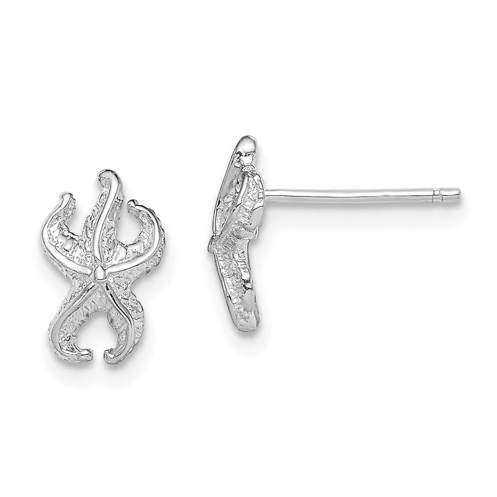 14K White Gold Starfish Stud Earrings for Women - Hypoallergenic, Dainty & Elegant Jewelry - Perfect for Beach Vacations, Summer Parties & Gift Giving