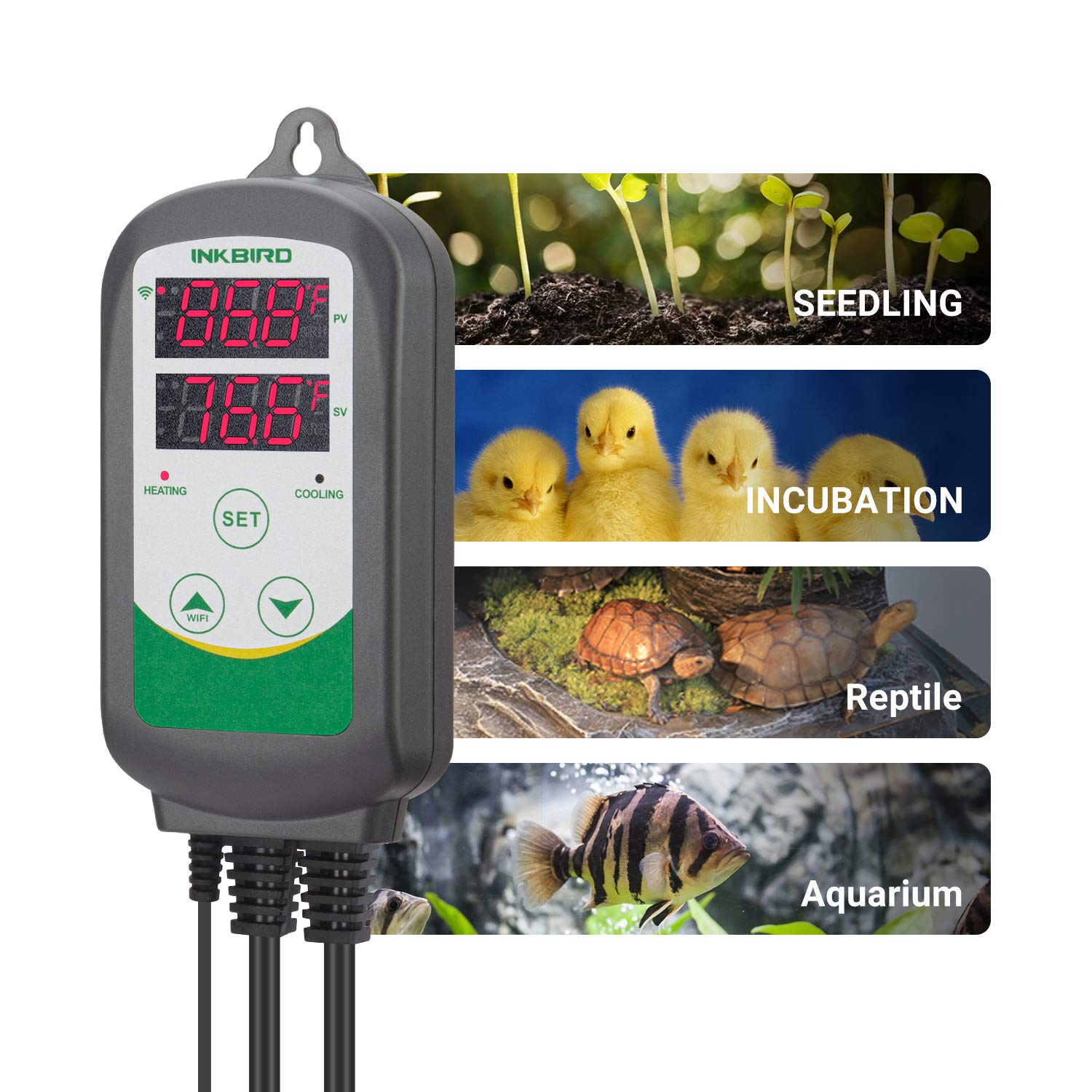 Inkbird WiFi ITC-308 Digital Temperature Controller for Aquarium - Smart Thermostat for Fish Tank Heater & Cooler with Waterproof Sensor | Perfect for Home Aquariums, Hydroponics & Reptile Tanks
