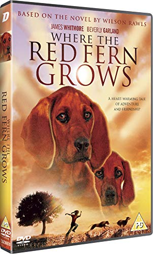Where the Red Fern Grows - Classic American Novel for Teens & Young Adults | Perfect for Book Clubs, Classroom Reading & Literary Enthusiasts