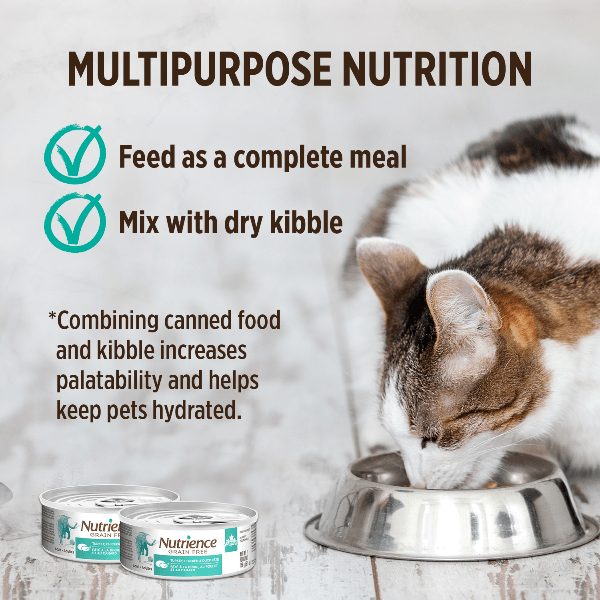 Nutrience Grain Free Turkey, Chicken & Duck Pate Canned Cat Food - High Protein Wet Cat Food for Adult & Senior Cats - Perfect for Picky Eaters & Digestive Health