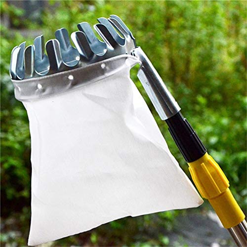 Best Fruit Picker Tool for Gardening - Easy to Use Apple & Peach Harvester with Extendable Pole - Perfect for Home Orchards, Backyard Harvesting, and Farm Use
