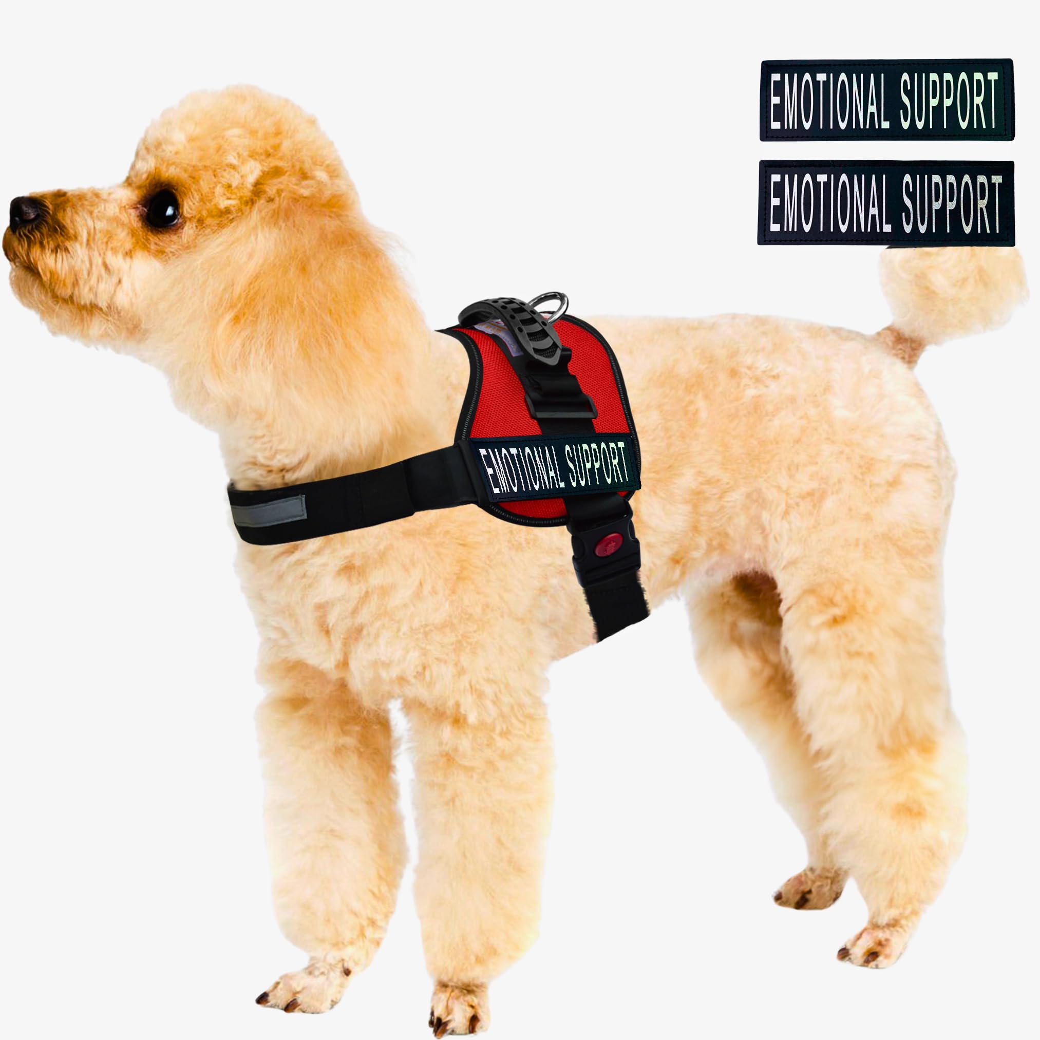ALBCORP Emotional Support Dog Vest - Reflective Harness for Small Dogs with Comfortable Mesh Padding - XXS to XL Sizes - Includes ESA Patches (Red) - Perfect for Therapy Dogs, Travel & Public Outings