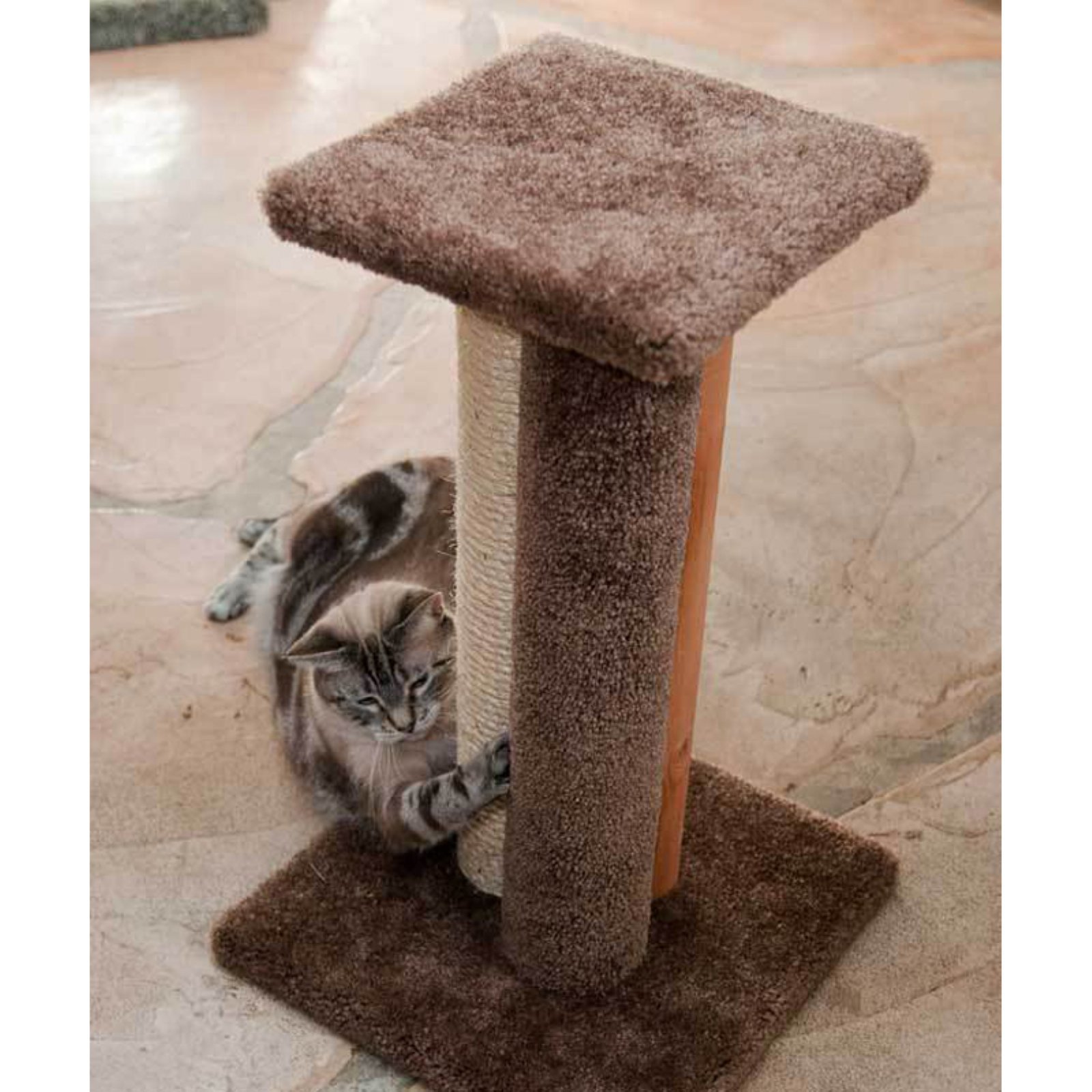 Premium Triple Cat Scratcher & Condo - Beige Cat Tree for Multiple Kittens - Durable Scratching Post with Lounging Perches for Play & Relaxation in Living Room or Bedroom