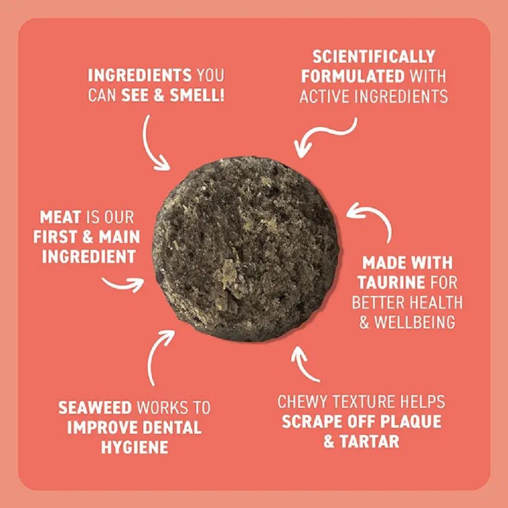 Bell & Bone Salmon with Charcoal Dental Bites for Cats - Natural Teeth Cleaning Treats for Fresh Breath & Plaque Control - Perfect for Daily Oral Care & Playtime Rewards