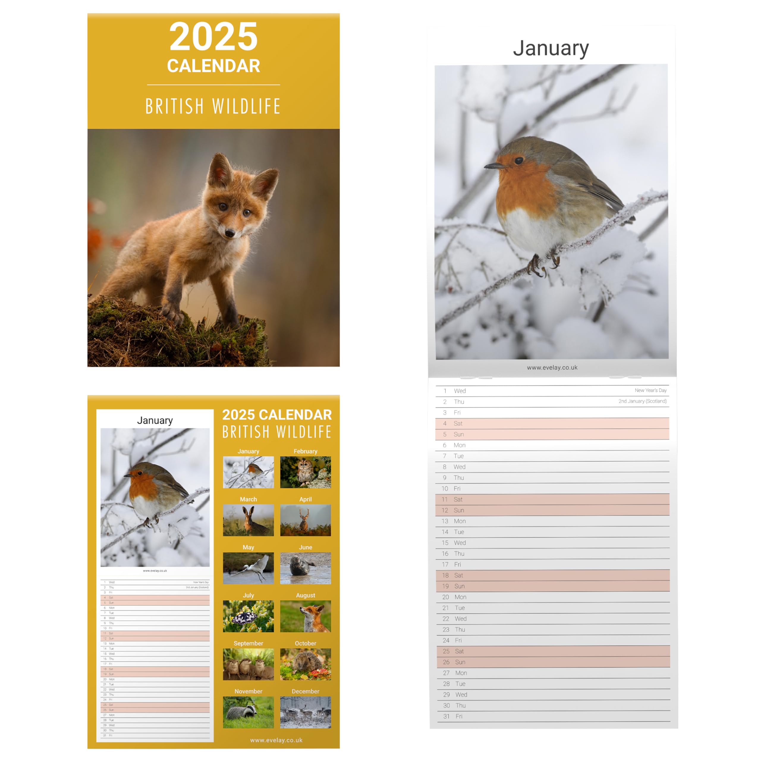 Evelay 2025 British Wildlife Wall Calendar - Slim Monthly Planner with UK Holidays | Family Organizer, Home & Office Decor | Perfect for Gift, Planning & Nature Lovers