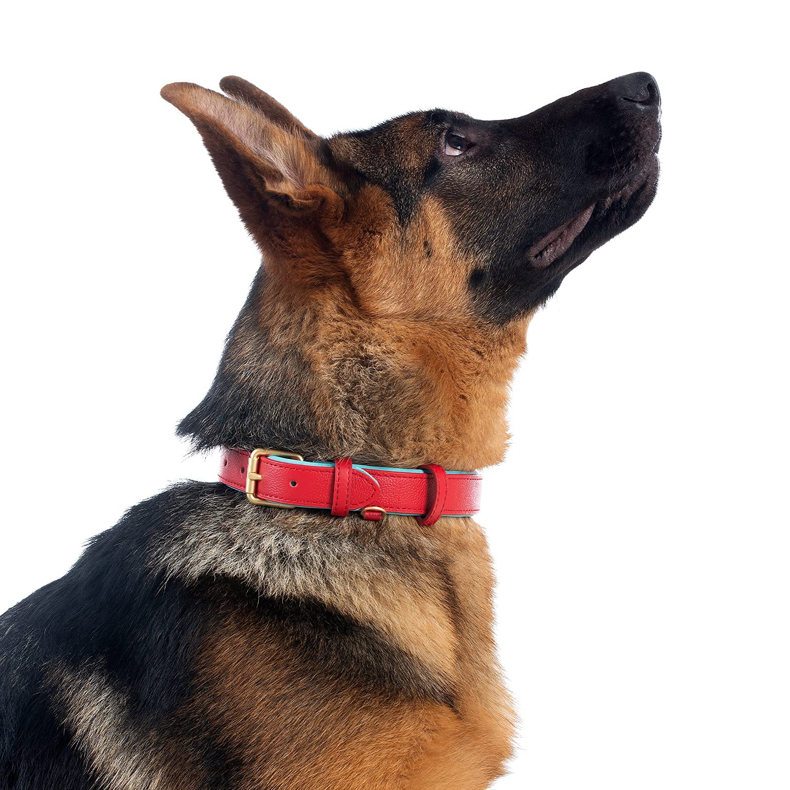 Premium Soft Padded Leather Dog Collar - Waterproof & Adjustable for Small, Medium, Large Dogs - Perfect for Daily Walks, Training & Outdoor Adventures